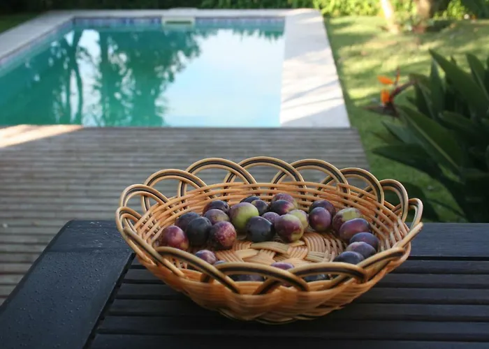 Homeinland Of Terroso - Privat Pool, Grill & Seaview Feriehus