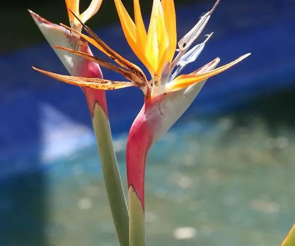 Homeinland Of Terroso - Privat Pool, Grill & Seaview Póvoa de Varzim